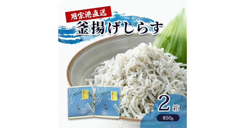 【ふるさと納税】用宗港直送釜揚げしらす（850g×2箱） シラス 釜揚 釜揚げ 新鮮 冷蔵 | 魚 魚介 魚介類 海鮮 海の幸 しらす