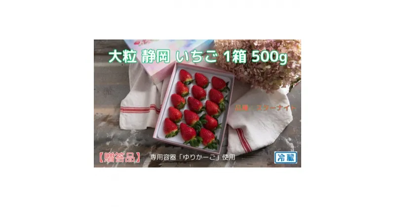 【ふるさと納税】【先行予約 2024年12月下旬より発送】【贈答品】500g/1箱＆糖度15度以上！大粒 静岡いちご（品種：ベリーポップすず） 冷蔵 苺 フルーツ | 果物類・フルーツ・果物類・いちご・苺・イチゴ