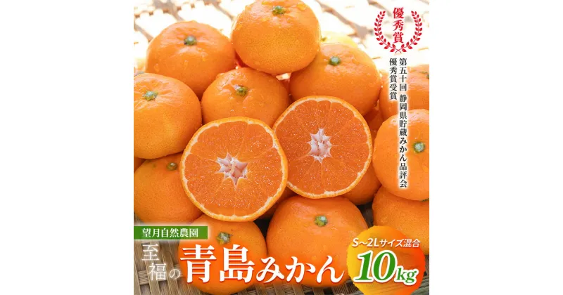 【ふるさと納税】【2024年12月下旬より順次発送】至福の青島みかん 約10kg 望月自然農園 静岡県貯蔵ミカン品評会優秀賞 フルーツ 柑橘 オレンジ みかん