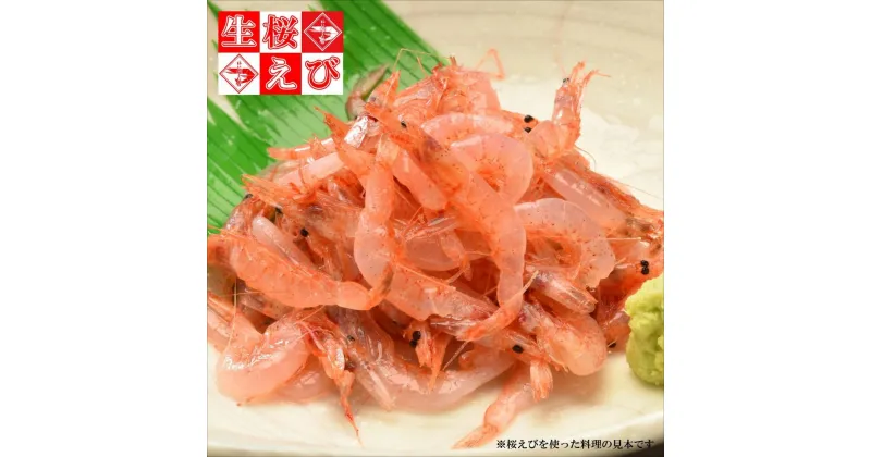 【ふるさと納税】静岡特産 駿河湾産 生桜えび 100g×2（海の幸、海鮮、海産物、魚介類