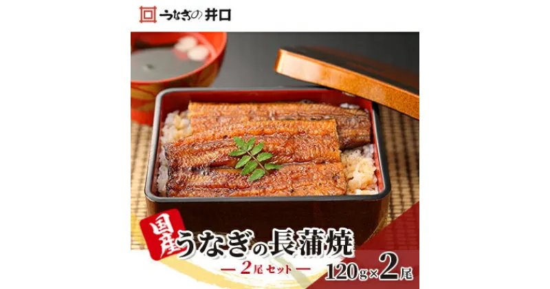 【ふるさと納税】国産うなぎ 蒲焼き 2尾 (120g×2尾) 山椒 たれ セット 詰め合わせ うなぎの井口 国産ウナギ 国産 うなぎ 鰻 蒲焼き うなぎの蒲焼 鰻の蒲焼き 小分け おすすめ 贈答用 ギフト 冷蔵 静岡 静岡県 浜松市 【配送不可：離島】　お届け：10日～1か月