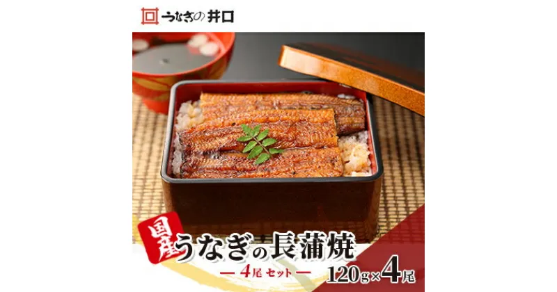 【ふるさと納税】ITI優秀味覚賞受賞 国産うなぎ 長蒲焼き 4尾 (120g×4尾) 山椒 たれ セット 詰め合わせ うなぎの井口 国産 うなぎ 鰻 蒲焼き うなぎの蒲焼 鰻の蒲焼き 小分け おすすめ ギフト 冷蔵 静岡 静岡県 浜松市 【配送不可：離島】　お届け：10日～1か月