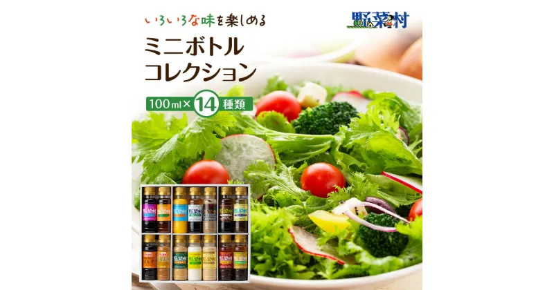 【ふるさと納税】ドレッシング ミニボトル コレクション 100ml 14種 セット 詰め合わせ 野菜村ドレッシング 野菜村 ドレッシングボトル 調味料 調味料セット 食べ比べセット 食べ比べ 小分け ギフト おしゃれ 静岡 静岡県 浜松市　お届け：14日～1か月