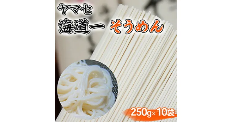 【ふるさと納税】そうめん ヤマセ 海道一 250g × 10袋　 素麺 麺類