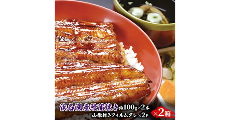 【ふるさと納税】国産うなぎ 浜名湖産 蒲焼き 2箱 (100g×2本入×2箱) 山椒 たれ セット 詰め合わせ 海老仙 国産ウナギ 国産 うなぎ ウナギ 鰻 うなぎの蒲焼 鰻の蒲焼き 小分け おすすめ 贈答用 ギフト 冷凍 静岡 静岡県 浜松市　お届け：10日～1か月