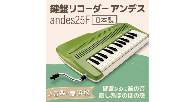 【ふるさと納税】ゆる～い音色を楽しめる鍵盤リコーダー アンデス　雑貨・日用品・鍵盤リコーダー ・楽器