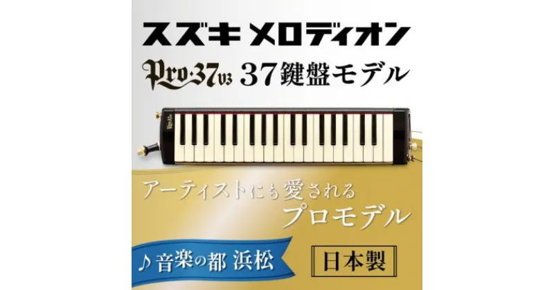 【ふるさと納税】アーティストにも愛されるプロメロディオン PRO-37v3　雑貨・日用品・メロディオン・楽器