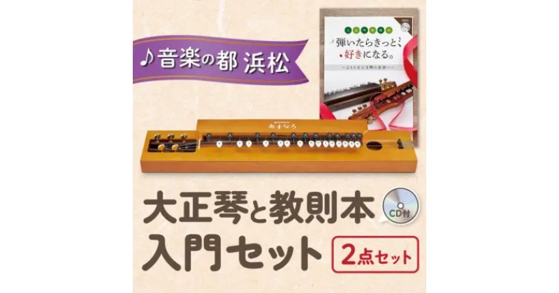 【ふるさと納税】大正琴を弾いてみよう！大正琴とCD付き教則本 入門セット　本・DVD・雑貨・日用品