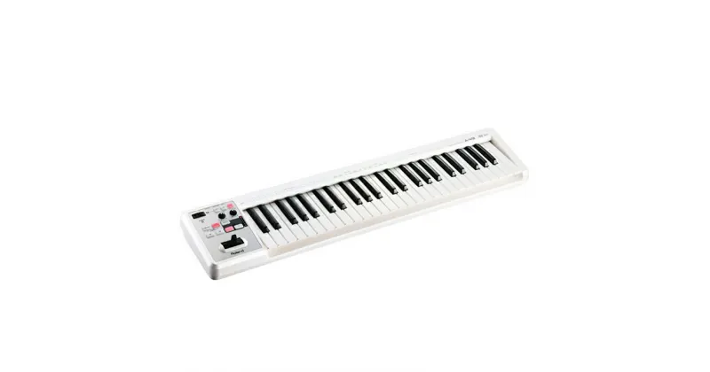 【ふるさと納税】【Roland】MIDI キーボード　コントローラー　A-49-WH【配送不可：離島】　雑貨・日用品