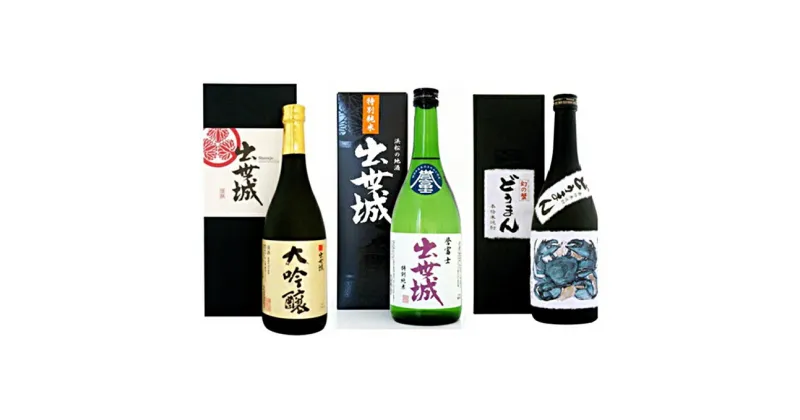 【ふるさと納税】清酒・焼酎 詰め合わせ 720ml × 3本セット（大吟醸 出世城・出世城特別純米 誉富士・本格焼酎25° どうまん）　日本酒・お酒・酒・焼酎