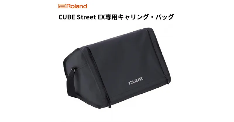 【ふるさと納税】【Roland】CUBE Street EX専用キャリング・バッグ/CB-CS2【配送不可：離島】　雑貨 日用品