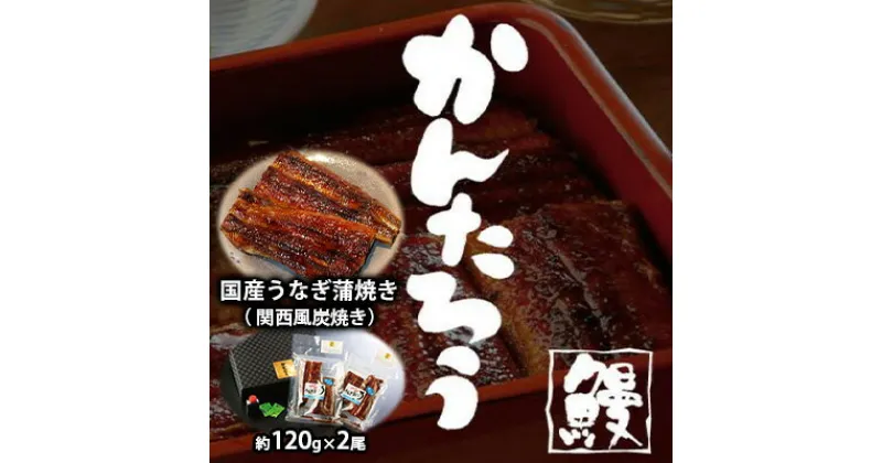 【ふるさと納税】国産うなぎ蒲焼き（ 関西風炭焼き）約120g×2尾【配送不可：離島】　惣菜