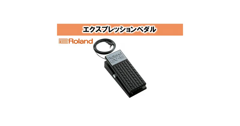 【ふるさと納税】【Roland】エクスプレッションペダル/EV-5【配送不可：離島】　電化製品