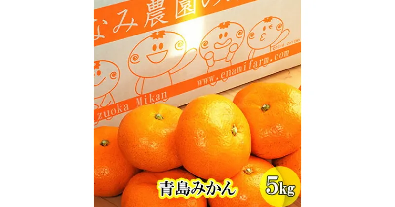 【ふるさと納税】えなみ農園の青島みかん　5kg（L～2Lサイズ）　果物類・みかん・柑橘類・フルーツ・青島みかん・ミカン　お届け：2024年12月下旬～2025年2月中旬