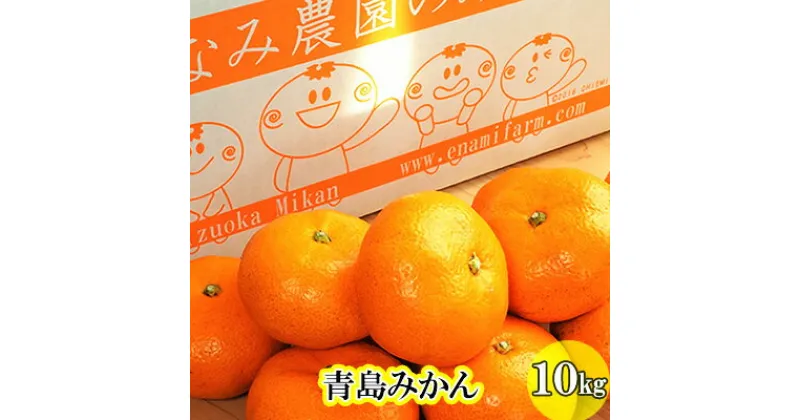 【ふるさと納税】えなみ農園の青島みかん　10kg（L～2Lサイズ）　果物類・みかん・柑橘類・フルーツ・青島みかん・ミカン　お届け：2024年12月下旬～2025年2月中旬