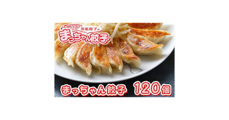 【ふるさと納税】浜松餃子のまっちゃん餃子まっちゃん餃子40ヶ入り×3袋　計120ヶセット【配送不可：沖縄県・離島】　加工品・惣菜・冷凍・ぎょうざ