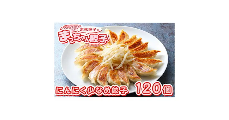 【ふるさと納税】浜松餃子のまっちゃん餃子にんにく少なめ餃子40ヶ入り×3袋　計120ヶセット【配送不可：沖縄県・離島】　加工品・惣菜・冷凍・ぎょうざ