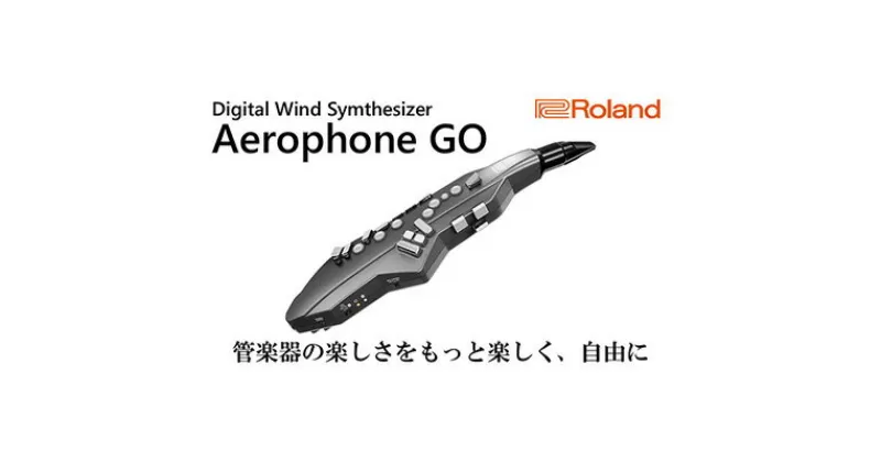 【ふるさと納税】電気 管楽器 ウインドシンセサイザー Aerophone GO Roland 電気管楽器 デジタル管楽器 ウインドシンセ シンセサイザー ヘッドホン 対応 Bluetooth サックス フルート クラリネット 楽器 音楽 ローランド roland 浜松 浜松市 【配送不可：離島】