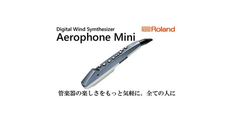 【ふるさと納税】【Roland】ウインドシンセサイザー/エアロフォンミニ【配送不可：離島】　楽器・管楽器