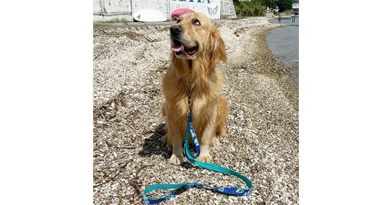 【ふるさと納税】【大型犬用・Lサイズ】 ハーフチョークカラーとリードのセット（ アロハブルー）　雑貨・日用品・ペット用品