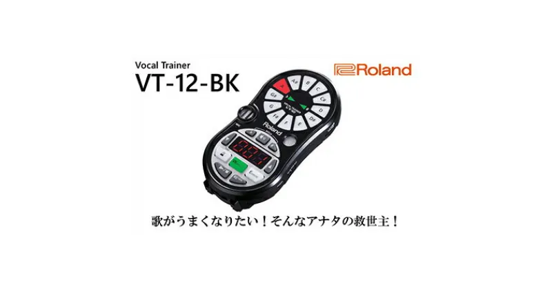 【ふるさと納税】【Roland】ボーカルトレーナー/VT-12-BK【配送不可：離島】　雑貨・日用品・オーディオ機器