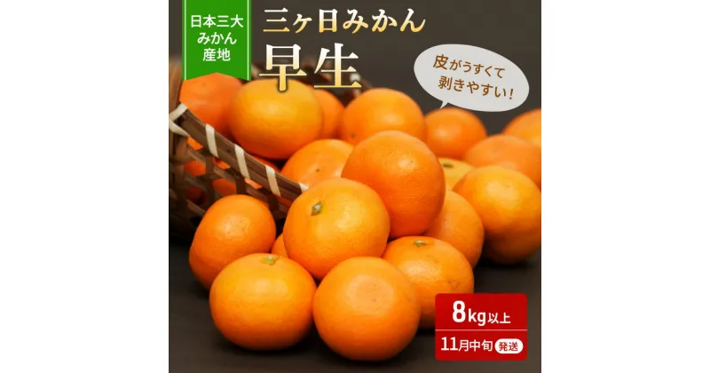 【ふるさと納税】三ヶ日みかん 早生 8kg S～L 優品 11月中旬より順次発送 みかん ミカン 蜜柑 早生みかん 三ヶ日 果物 くだもの フルーツ 旬の果物 旬のフルーツ 柑橘 柑橘類 糖度 静岡 静岡県 浜松市 【配送不可：離島】　お届け：2024年11月中旬～2024年12月上旬