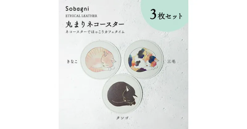 【ふるさと納税】Sobagni　丸まりネコースター　3枚セット　雑貨 日用品 コースター イラスト