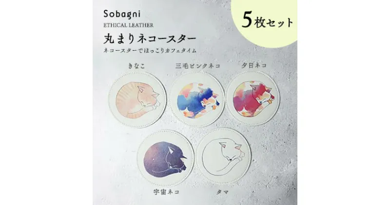 【ふるさと納税】Sobagni　丸まりネコースター　5枚セット　雑貨 日用品 コースター イラスト