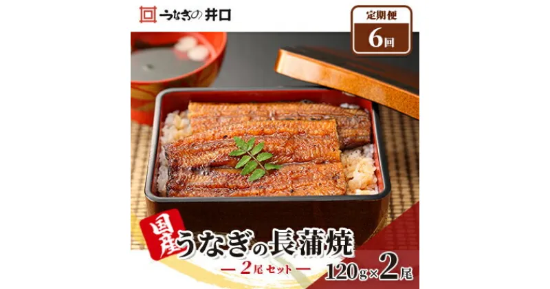 【ふるさと納税】ITI優秀味覚賞受賞 国産うなぎ 定期便 6ヶ月 長蒲焼き 2尾 (120g×2尾) 山椒 たれ セット うなぎの井口 国産 うなぎ 鰻 蒲焼き うなぎの蒲焼 小分け 冷蔵 おすすめ 贈答用 ギフト 6回 半年 お楽しみ 静岡 静岡県 浜松市 【配送不可：離島】　定期便