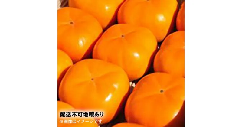 【ふるさと納税】テルの次郎柿 鮮度保持袋入り 3L～M 3kg 10～16玉 12月から順次発送 長寿郎 柿 かき 果物 フルーツ 旬の果物 旬のフルーツ 秋の味覚 次郎柿 デザート 個包装 静岡 静岡県 浜松市 【配送不可：離島】　お届け：2024年12月上旬～2025年1月上旬