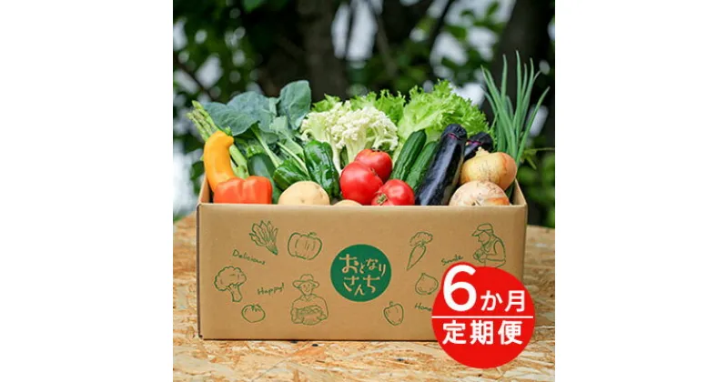 【ふるさと納税】おとなりさんち厳選！浜松から鮮度抜群！旬の野菜BOX【定期便6か月分】【配送不可：沖縄・離島】　定期便・野菜・セット・詰合せ