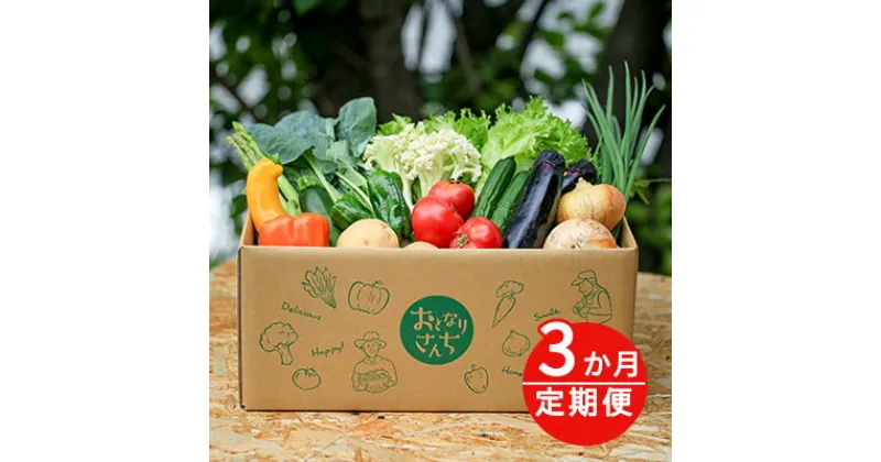 【ふるさと納税】おとなりさんち厳選！浜松から鮮度抜群！旬の野菜BOX【定期便3か月分】【配送不可：沖縄・離島】　定期便・野菜・セット・詰合せ