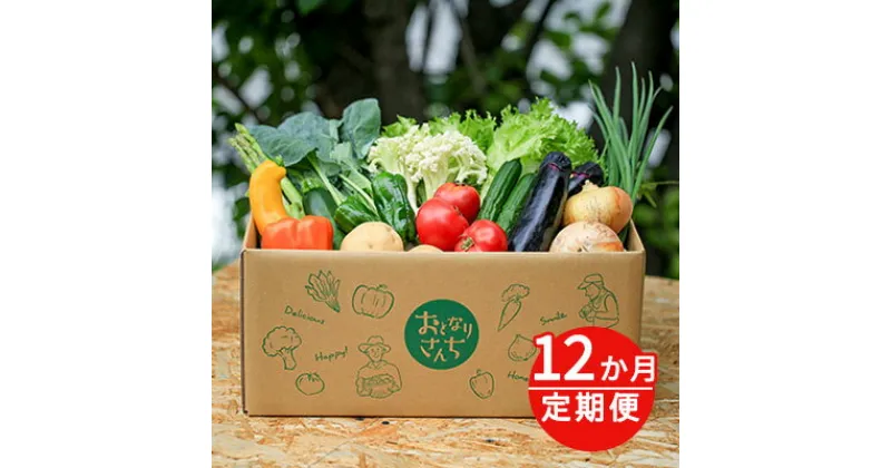 【ふるさと納税】おとなりさんち厳選！浜松から鮮度抜群！旬の野菜BOX【定期便12か月分】【配送不可：沖縄・離島】　定期便・野菜・セット・詰合せ