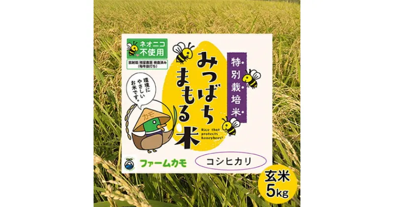 【ふるさと納税】【2024年10月より順次発送】雄踏ファームカモ産　玄米「特選みつばちまもる米」5kg コシヒカリ　 お米 ライス ご飯 主食 おにぎり お弁当 ブランド米 もちもち 甘い香り 特別栽培米 特選 検査米 1等米 国産 浜松市産 　お届け：2024年10月～2025年6月末