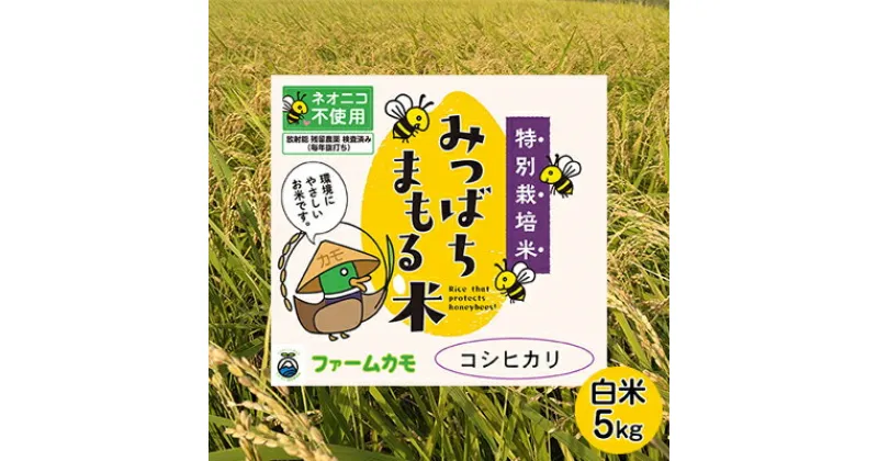 【ふるさと納税】【2024年10月より順次発送】雄踏ファームカモ産「特選みつばちまもる米」5kg コシヒカリ　 お米 ご飯 主食 ライス お弁当 おにぎり もちもち 甘い香り 浜松市 特別栽培米 特選 検査米 1等米 国産 　お届け：2024年10月～2025年6月末