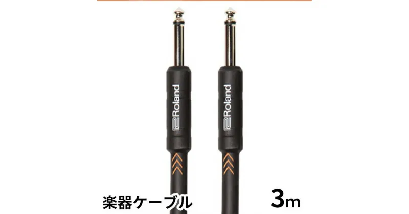 【ふるさと納税】【Roland純正】楽器ケーブル 3m/RIC-B10【配送不可：離島】　雑貨・日用品