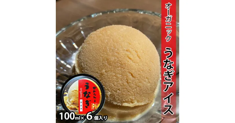 【ふるさと納税】鰻のかんたろうのオーガニックうなぎアイス 100ml×6個入り【配送不可：離島】　お菓子・アイス