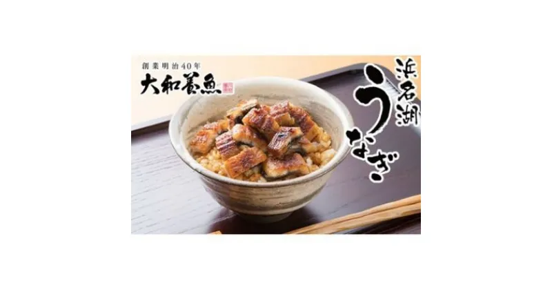 【ふるさと納税】【訳あり】大和養魚の浜名湖うなぎ蒲焼きざみ（60g×10）蒲焼のたれセット【配送不可：離島】国産 浜松 小分け　 鰻丼 う巻き お茶漬け ひつまぶし きざみうなぎ 　お届け：※2024年5月6日以降順次発送となります。