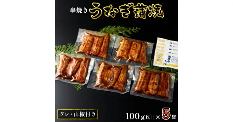 【ふるさと納税】〈丸半堀江商店〉浜名湖産 串焼きうなぎ蒲焼 5袋（100g以上×5袋・タレ・山椒付き）【配送不可：離島】 国産 真空パック　 つまみ 晩酌 お酒のあて 肴 鰻の串焼き 鰻の蒲焼