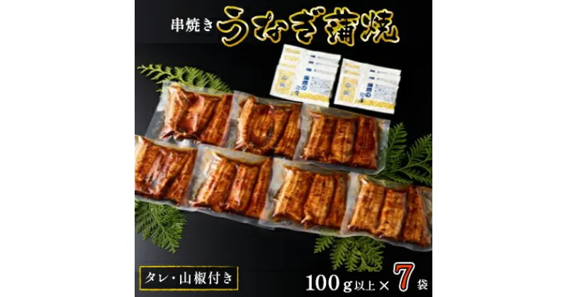 【ふるさと納税】〈丸半堀江商店〉浜名湖産 串焼きうなぎ蒲焼 7袋（100g以上×7袋・タレ・山椒付き）【配送不可：離島】 国産 真空パック　 つまみ 晩酌 お酒のあて 肴 鰻の串焼き 鰻の蒲焼