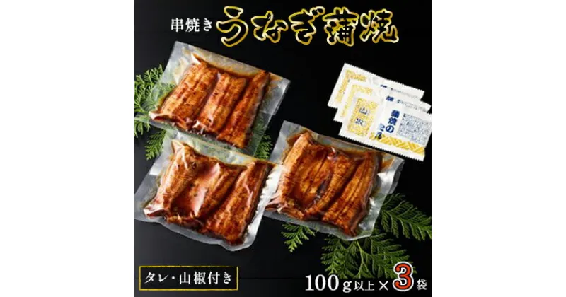 【ふるさと納税】〈丸半堀江商店〉浜名湖産 串焼きうなぎ蒲焼 3袋（100g以上×3袋・タレ・山椒付き）【配送不可：離島】 国産 真空パック　 つまみ 晩酌 お酒のあて 肴 鰻の串焼き 鰻の蒲焼