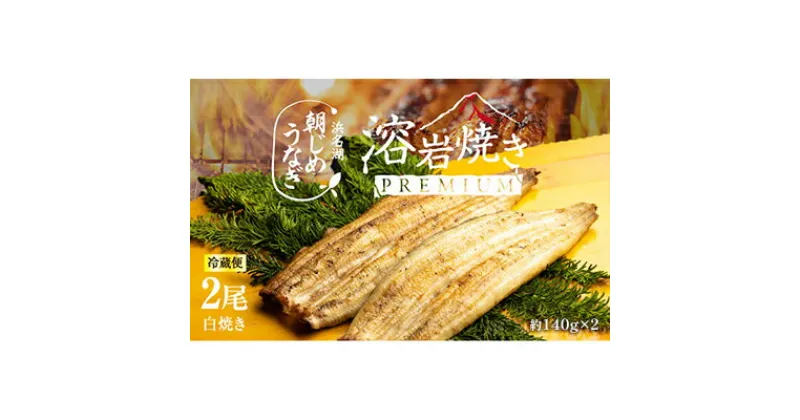 【ふるさと納税】【浜名湖産】朝じめ うなぎ 溶岩焼き 白焼き 2尾（約140g×2尾） 土用の丑の日 丑の日　 熟練 職人 国産 天然溶岩 手焼き 鰻専門店 焼きたて 美味しい 冷蔵便 極上 ふわとろ 食感