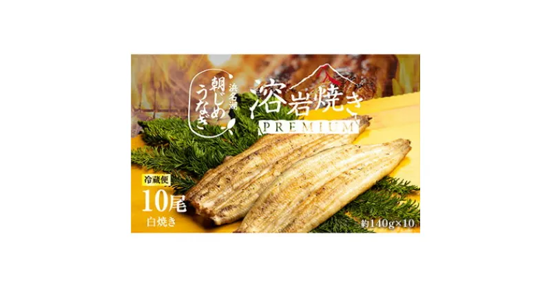 【ふるさと納税】【浜名湖産】朝じめ うなぎ 溶岩焼き 白焼き 10尾（約140g×10尾） 土用の丑の日 丑の日　 熟練 職人 国産 天然溶岩 手焼き 鰻専門店 焼きたて 美味しい 冷蔵便 極上 ふわとろ 食感