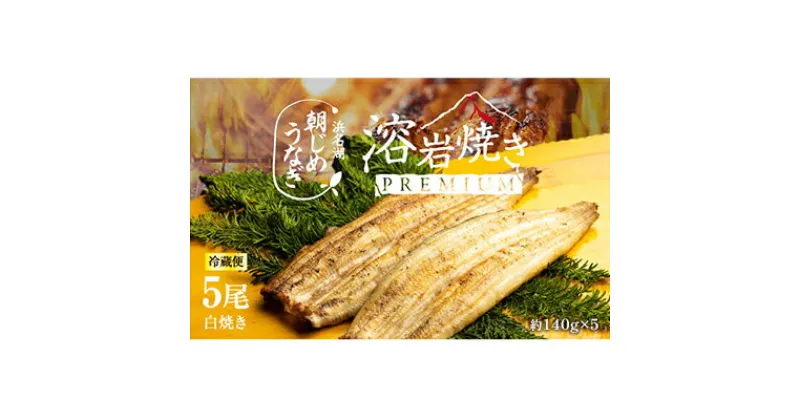 【ふるさと納税】【浜名湖産】朝じめ うなぎ 溶岩焼き 白焼き 5尾（約140g×5尾） 土用の丑の日 丑の日　 熟練 職人 国産 天然溶岩 手焼き 鰻専門店 焼きたて 美味しい 冷蔵便 極上 ふわとろ 食感