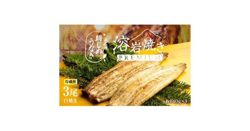 【ふるさと納税】【浜名湖産】朝じめ うなぎ 溶岩焼き 白焼き 3尾（約140g×3尾） 土用の丑の日 丑の日　 熟練 職人 国産 天然溶岩 手焼き 鰻専門店 焼きたて 美味しい 冷蔵便 極上 ふわとろ 食感