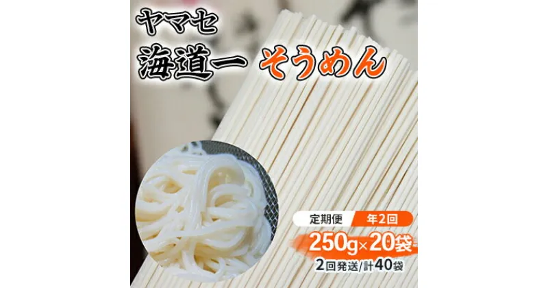 【ふるさと納税】【定期便 年2回】ヤマセ 海道一 そうめん 250g × 20袋（2回発送・計40袋）　定期便・ 麺類 乾麺 夏 さっぱり お昼ごはん 昔ながらのそうめん 少し太め コシ 食べ物 食品 日持ち ストック