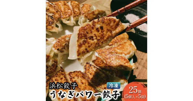 【ふるさと納税】浜松餃子 うなぎパワー餃子 25個（5個入×5袋） 【配送不可：離島】 餃子 ぎょうざ 冷凍　 惣菜 冷凍 冷凍餃子 中華 豊潤な味わい 極上の餃子 スタミナ おかず お酒のあて