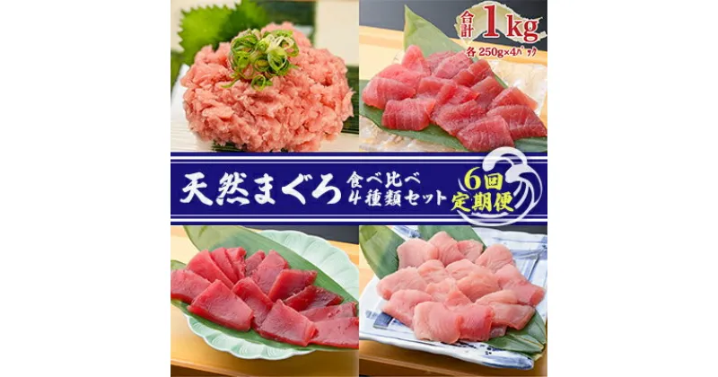 【ふるさと納税】【6回定期便】天然まぐろ食べ比べ4種セット 合計1kg（バチマグロ切落し・びん長マグロ・ミナミマグロ・ネギトロ 250g×各1袋）×6回【配送不可：離島】　定期便・ 魚貝類 海の幸 海鮮 お酒のあて 厳選まぐろ もちもち