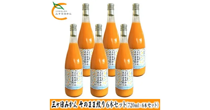 【ふるさと納税】三ヶ日みかん そのまま絞り 6本セット（720ml×6本セット） みかん ジュース 100%　 果物 フルーツ 安全 おいしい 果肉 こだわり 酸味 濃厚 甘い 果汁飲料 無添加 子供