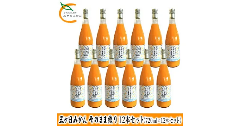 【ふるさと納税】三ヶ日みかん そのまま絞り 12本セット（720ml×12本セット） みかん ジュース 100%　 果物 フルーツ 安全 おいしい 果肉 こだわり 酸味 濃厚 甘い 果汁飲料 無添加 子供